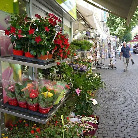 Vieille 1 - Luca's Apartment, 1 Bedroom, Max 2 Adults And 2 Kids 아파트 *