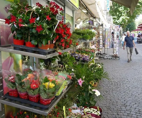 Vieille 1 - Luca's Apartment, 1 Bedroom, Max 2 Adults And 2 Kids Daire *